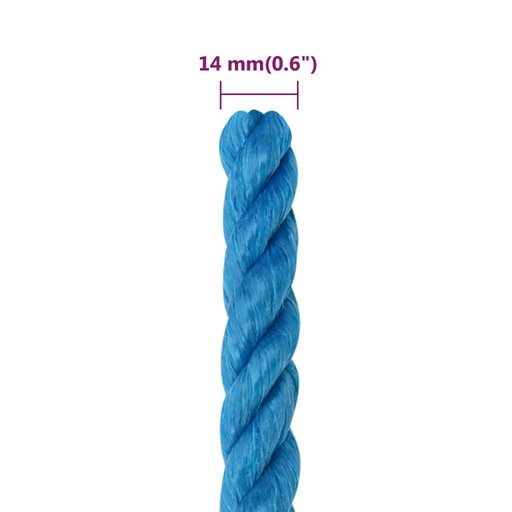 CORDE BLEU 14(1m)